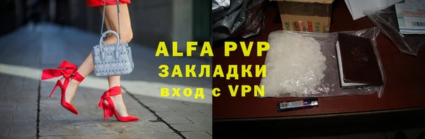ECSTASY Богданович