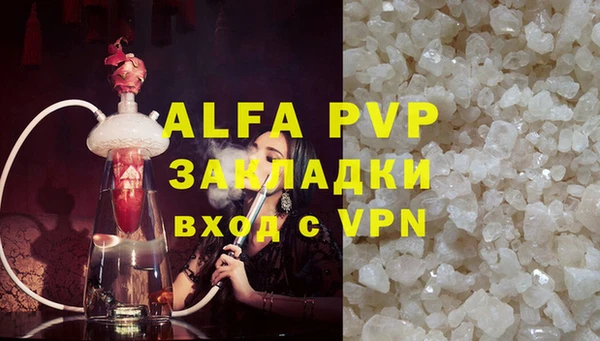 ECSTASY Богданович