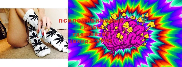 твердый Богородицк
