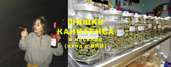 ECSTASY Богданович