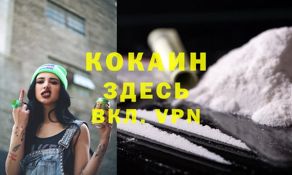 ECSTASY Богданович