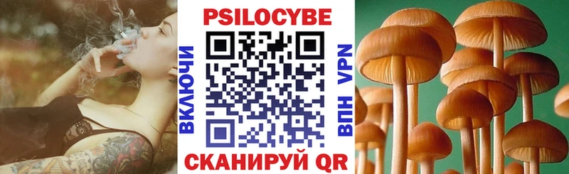 Купить где Суоярви Галлюциногенные грибы Cubensis